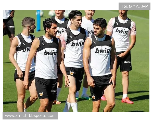 西甲联赛球员薪水分析：西甲联赛球员薪资水平及排名