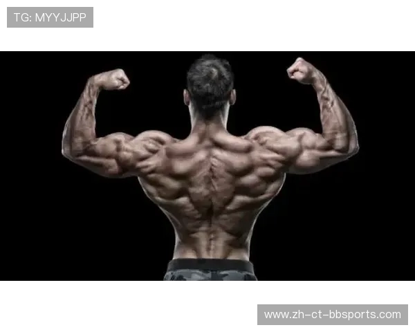 高拉力训练器如何提高全身肌肉耐力与力量 高拉力训练器如何提高全身肌肉耐力与力量